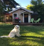 Welcome to the River Gem Bungalow - pet friendly